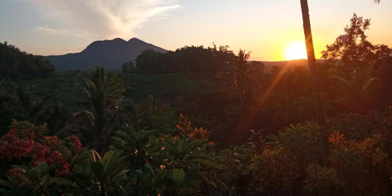 Pondok Lembah Dukuh Homestay 까랑아섬 외부 사진