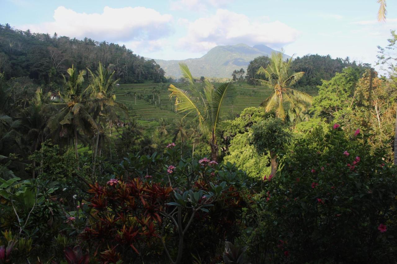 Pondok Lembah Dukuh Homestay 까랑아섬 외부 사진