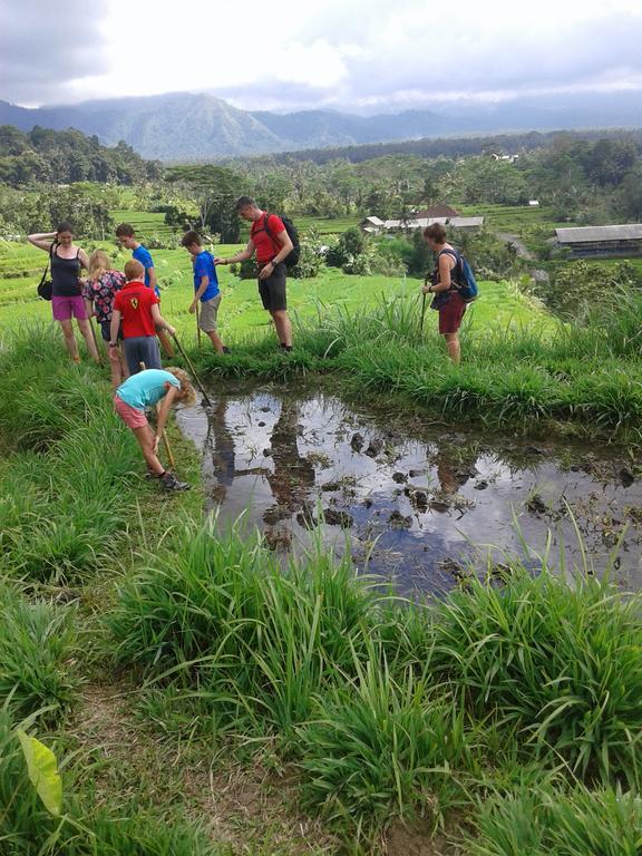 Pondok Lembah Dukuh Homestay 까랑아섬 외부 사진